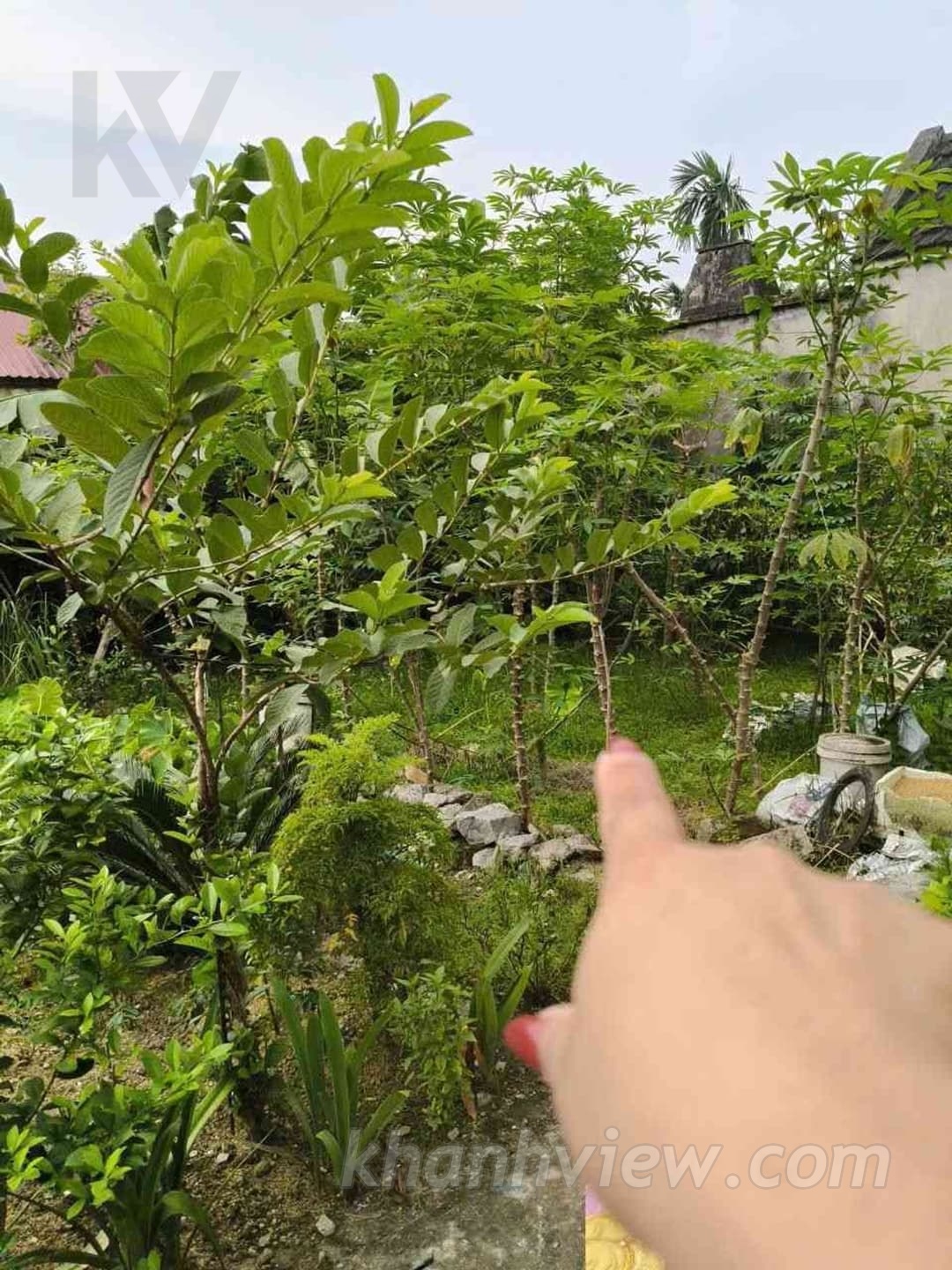 Đất Minh Tân Thủy Nguyên ảnh 6