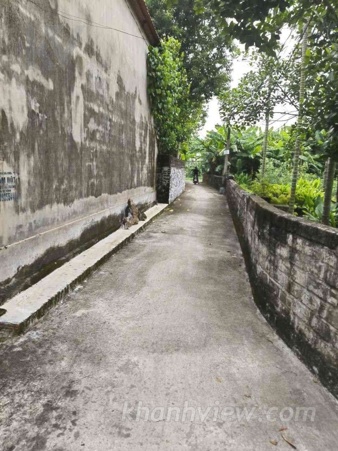 Đất Minh Tân Thủy Nguyên ảnh 8