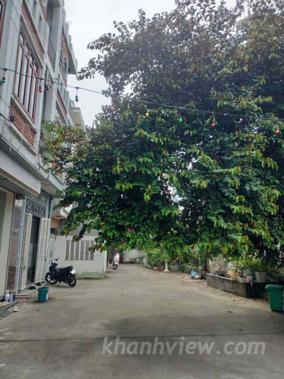 Ảnh 16