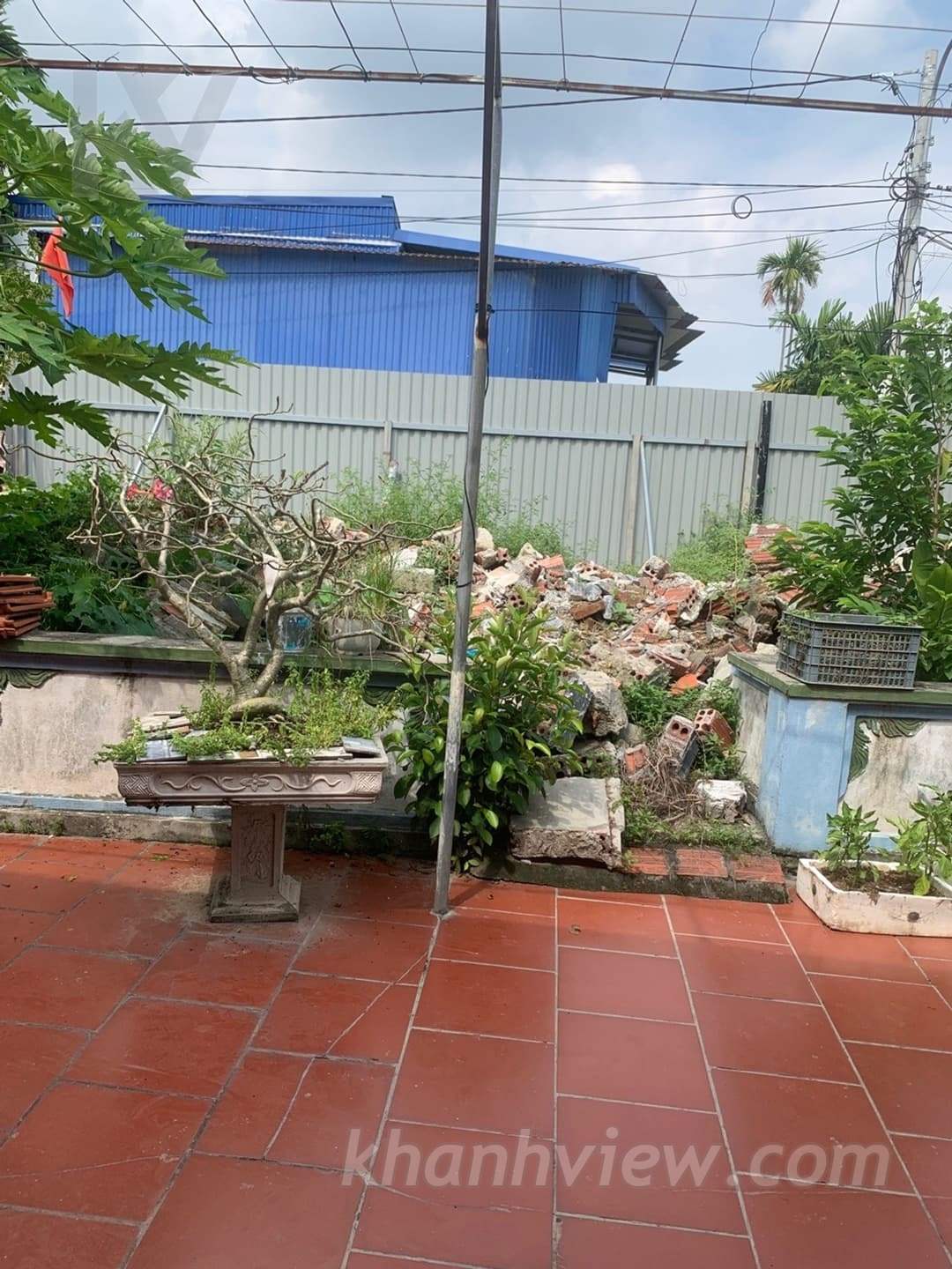 Thủy Triều Thủy Nguyên 11
