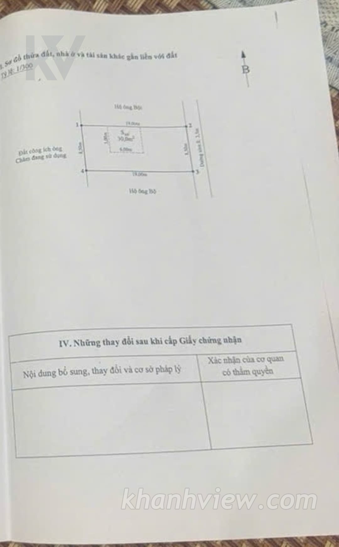 Thủy Triều Thủy Nguyên 17