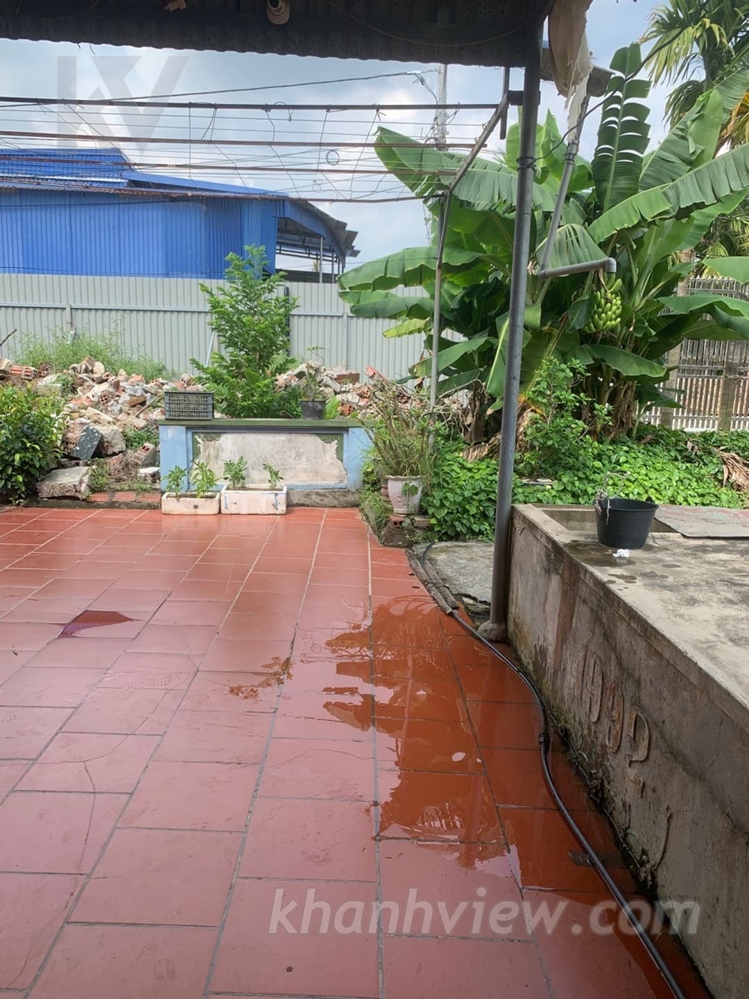 Thủy Triều Thủy Nguyên 4