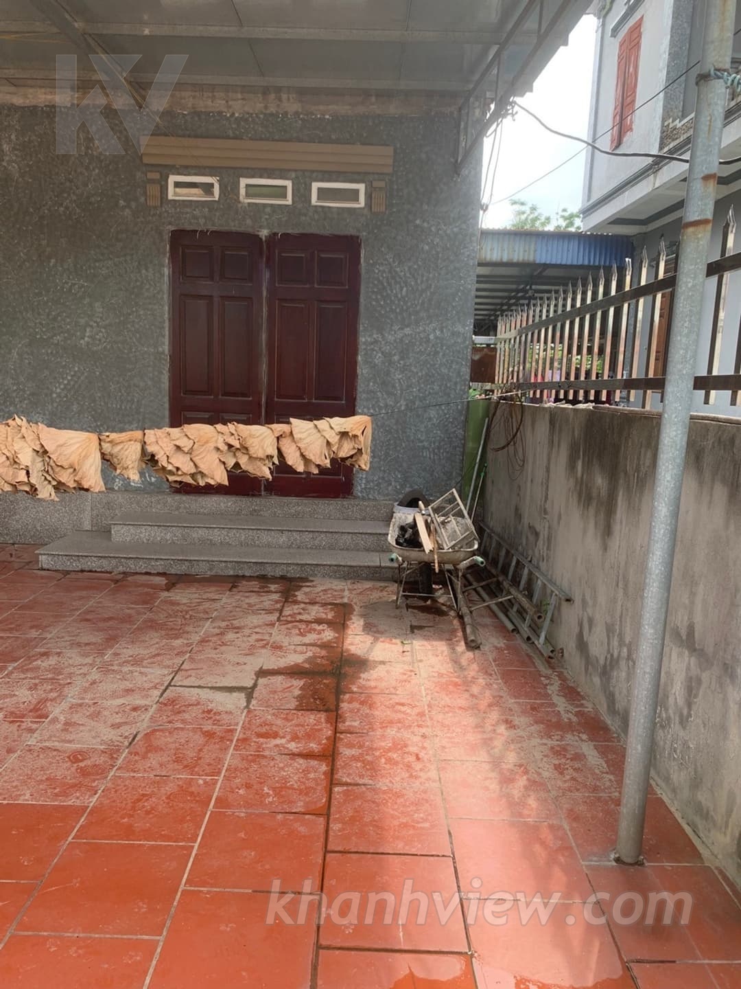 Thủy Triều Thủy Nguyên 5