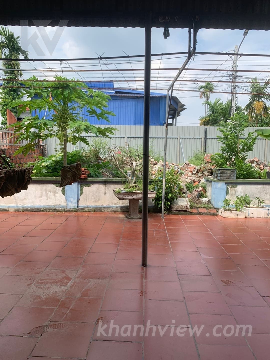 Thủy Triều Thủy Nguyên 9
