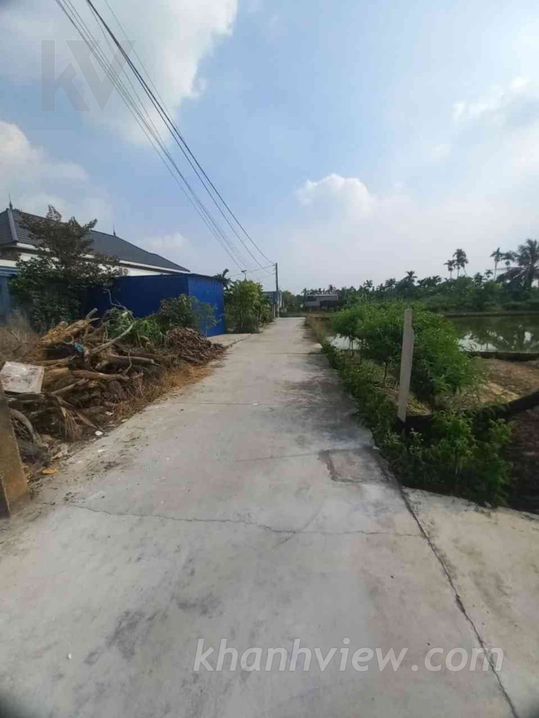 Ảnh 4