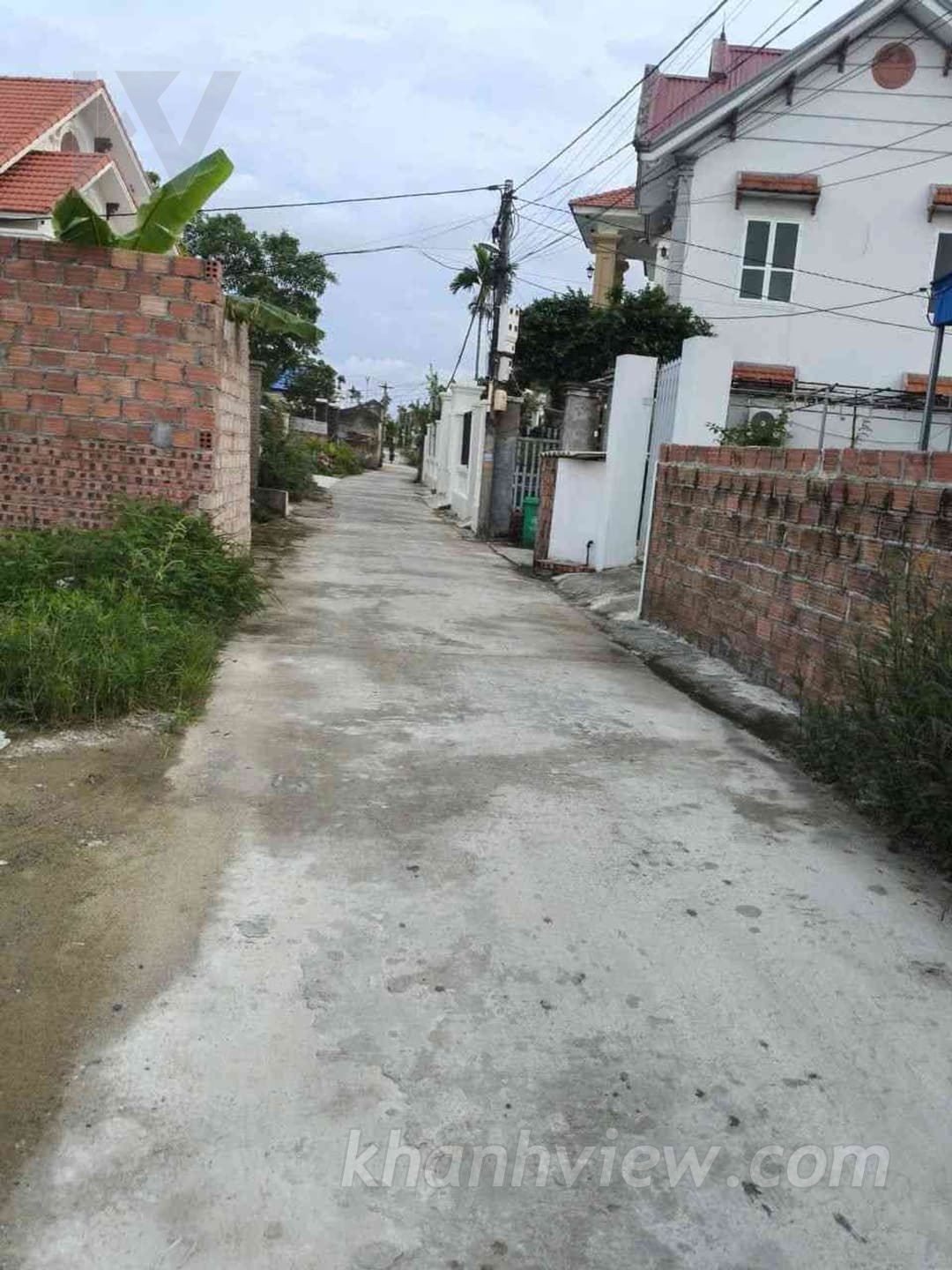 Ảnh thực tế 3