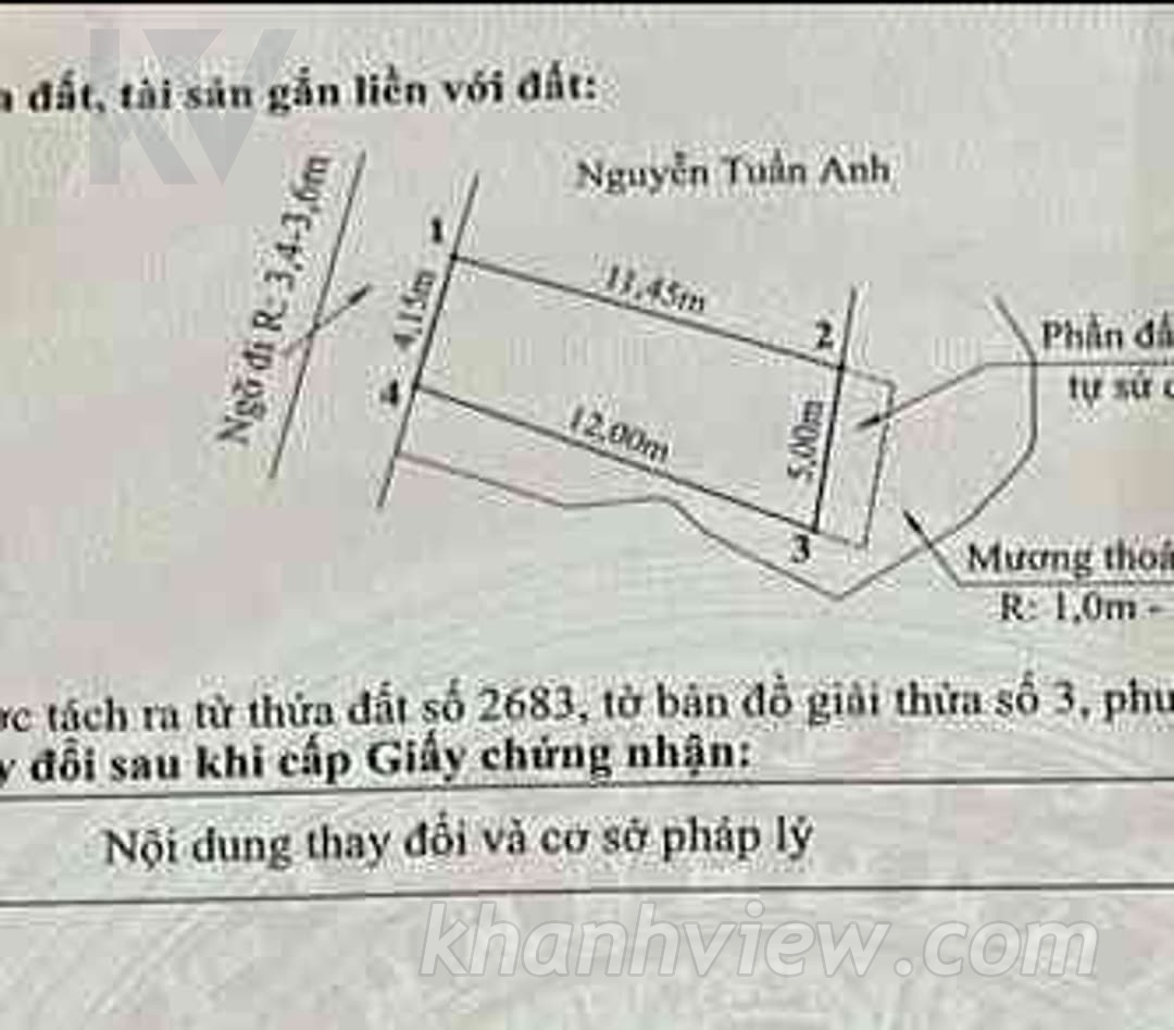 Ảnh thực tế 6