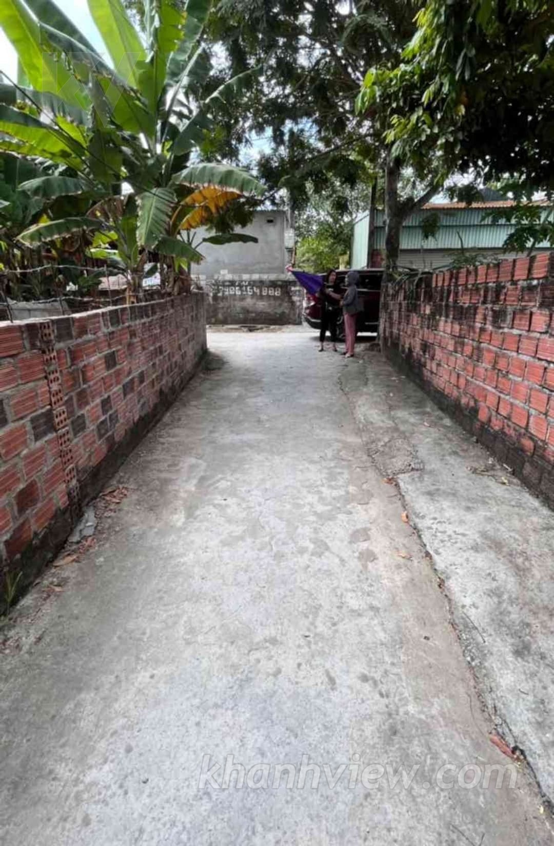 Thực tế lô đất Hoàng Động 229m2 - Ảnh 3