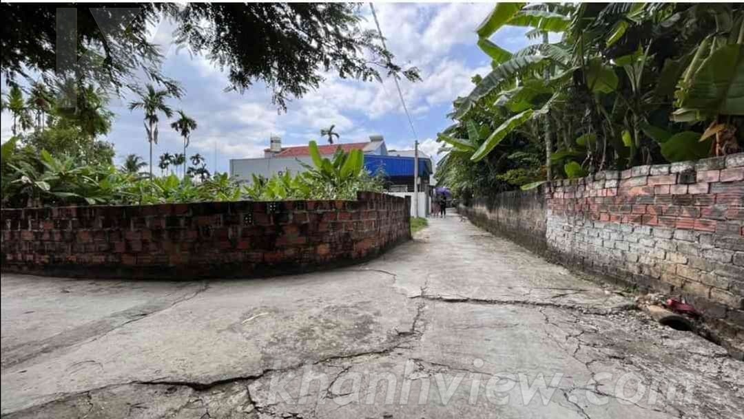 Thực tế lô đất Hoàng Động 229m2 - Ảnh 5
