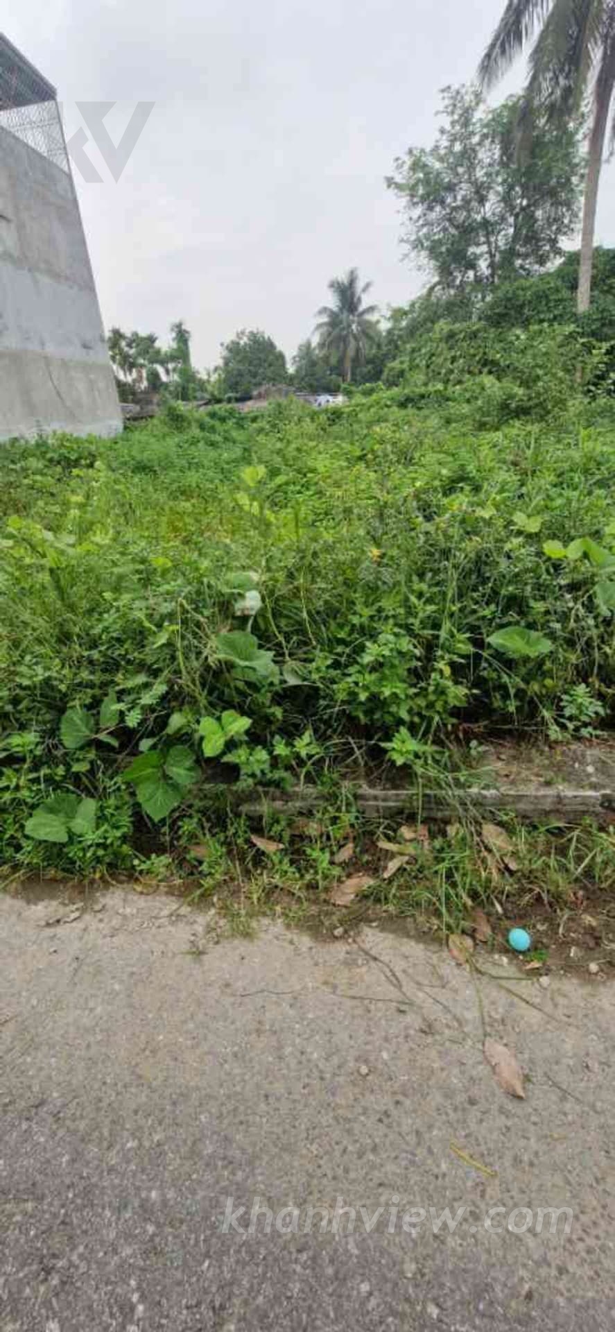 Đất Trinh Hưởng Thủy Nguyên