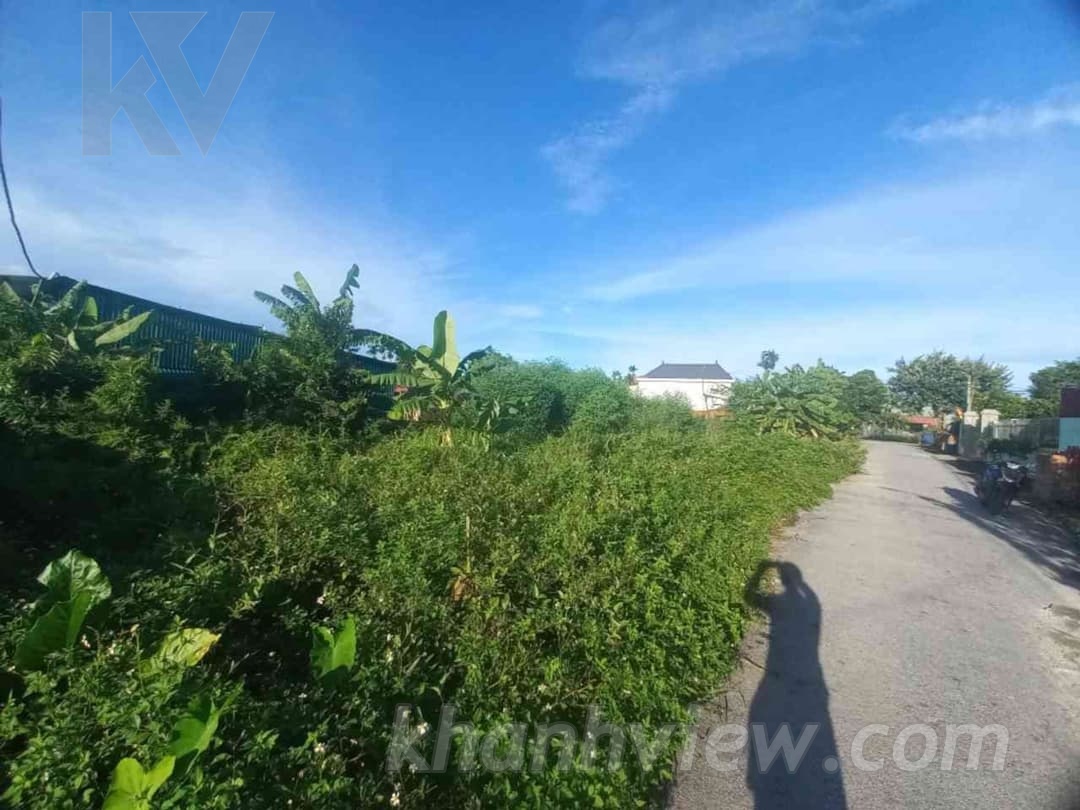 Ảnh thực tế TK9FMA26