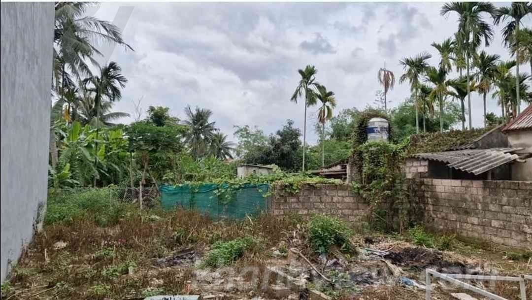 Thực tế đất Hoàng Động 6