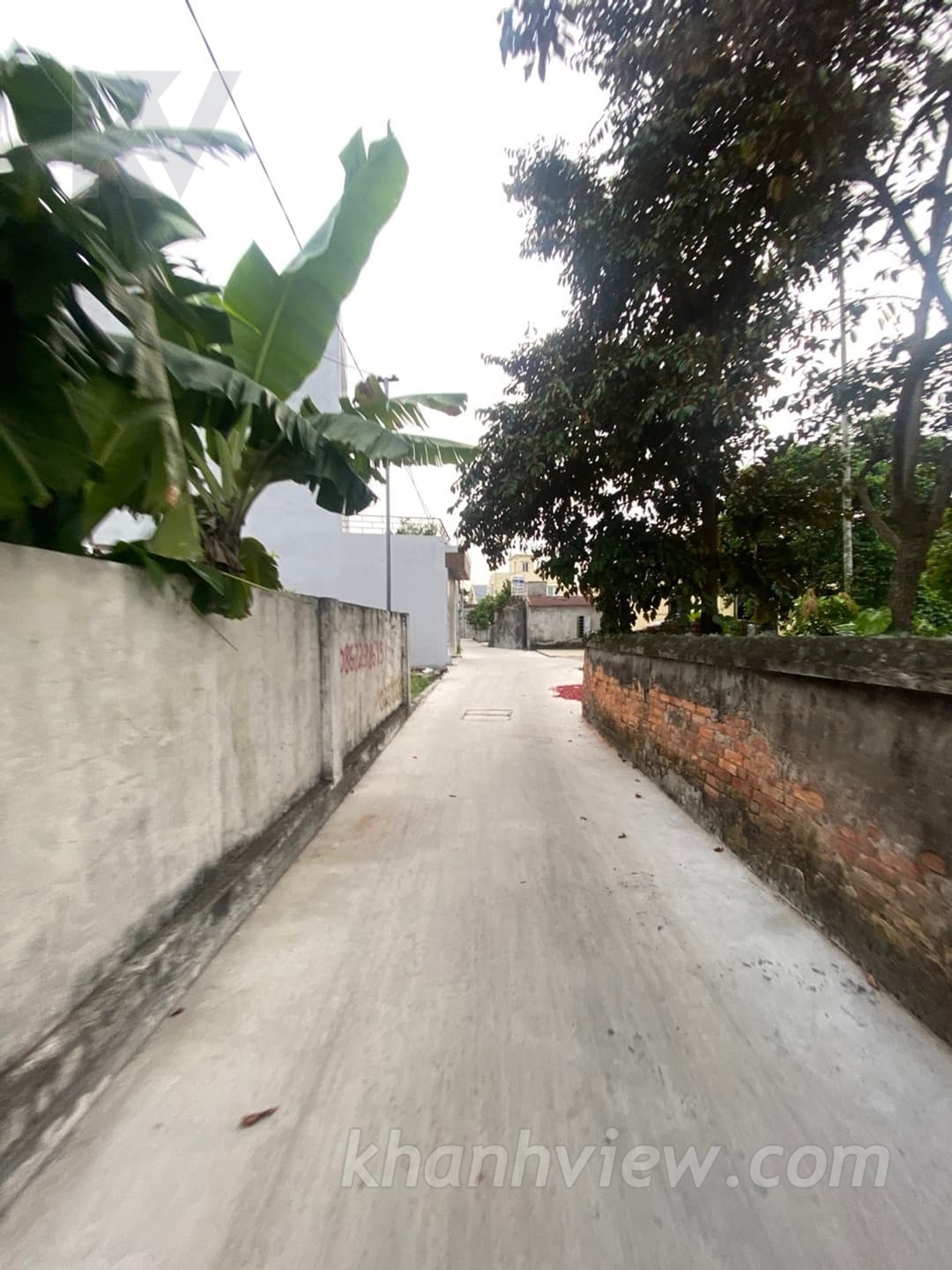 Ảnh thực tế đất An Quang An Lão 5