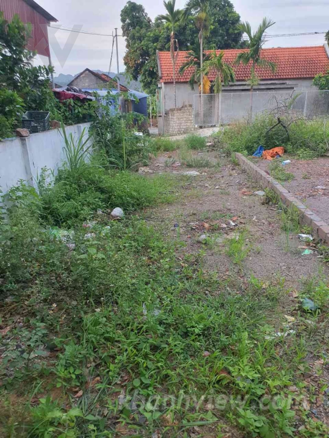 Ảnh thực tế đất Hòa Bình Thủy Nguyên 5