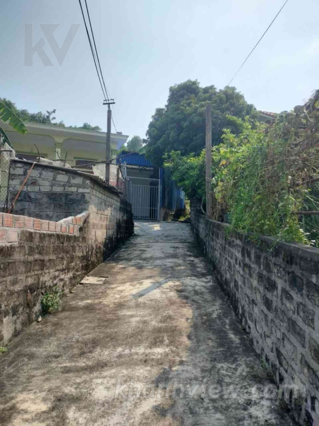 Đất Thủy Nguyên 501m2