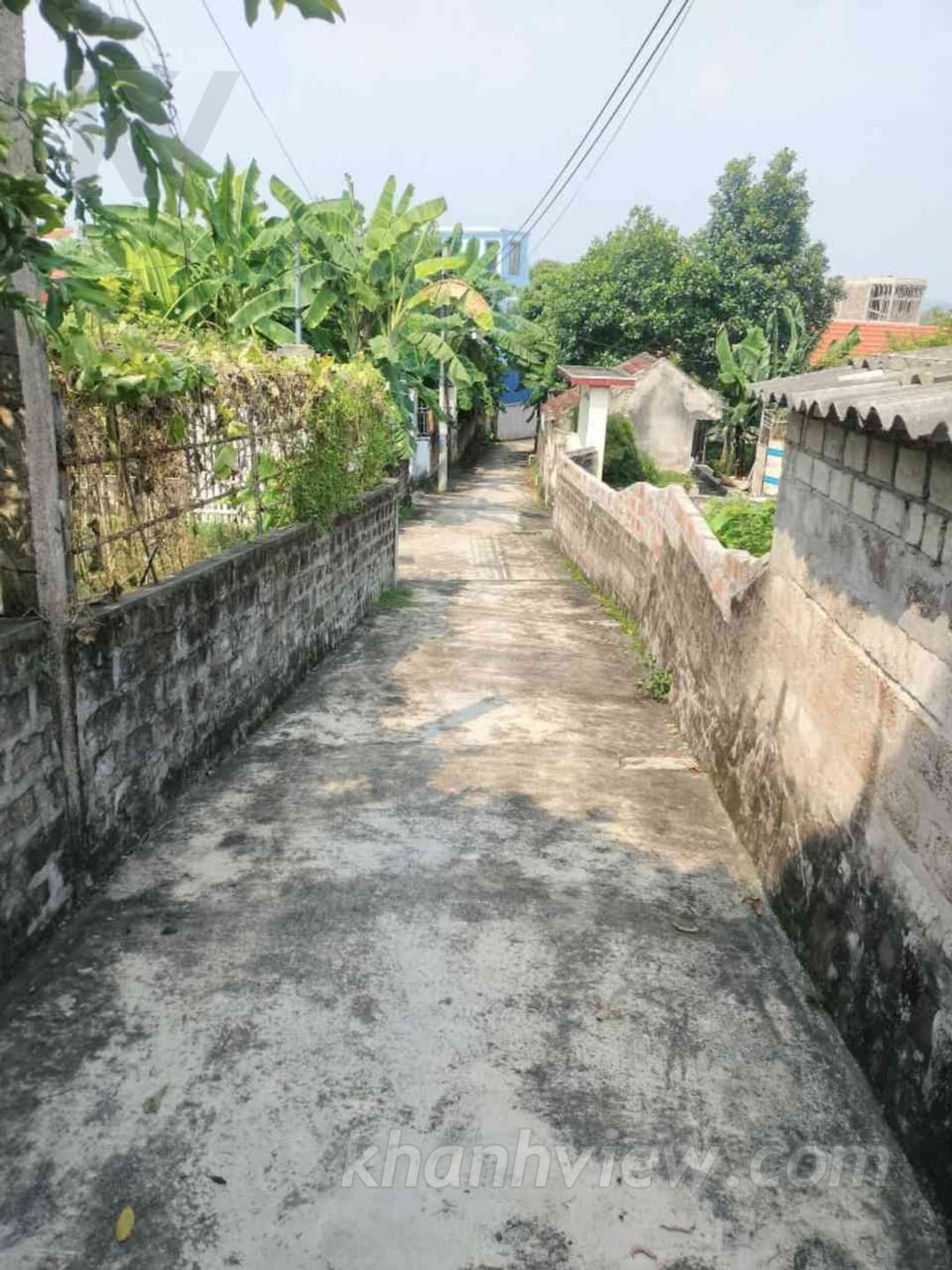 Đất Thủy Nguyên 3
