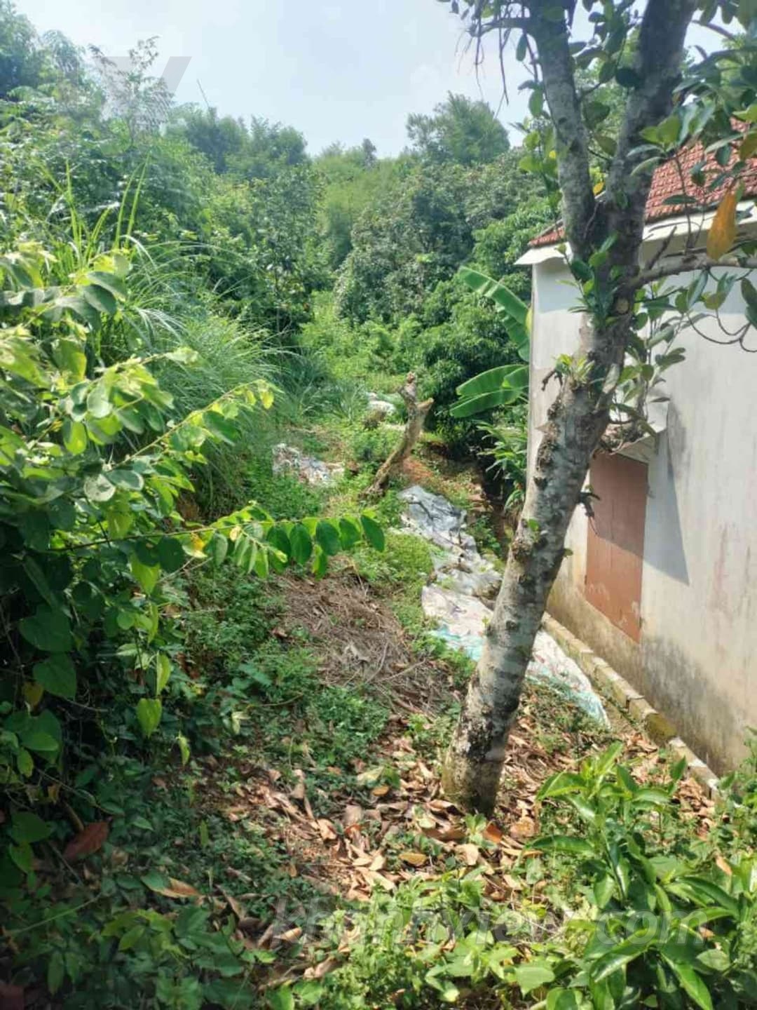 Đất Thủy Nguyên 4