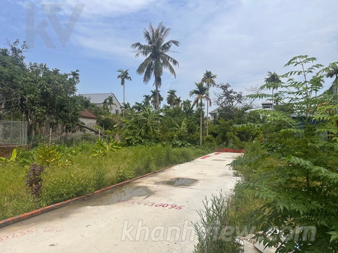 Đất Đào Yêu 6