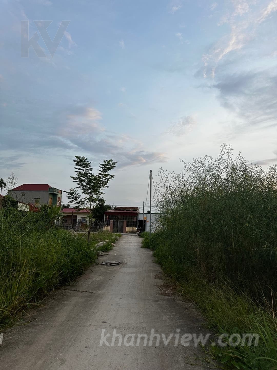 Ảnh thực tế đất Tràng Cát 5
