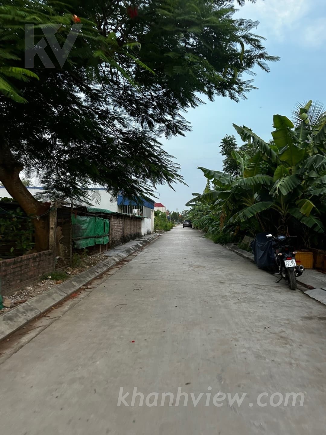 Ảnh thực tế đất Tràng Cát 6