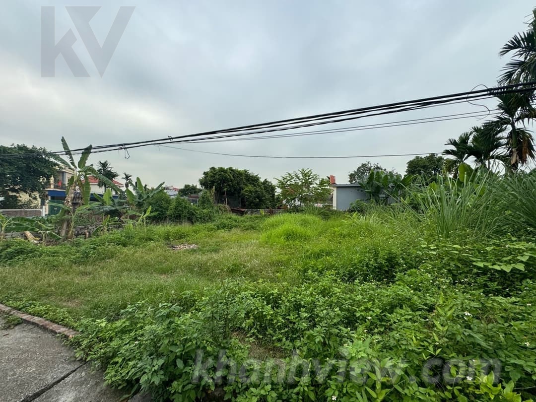 Ảnh đất 4