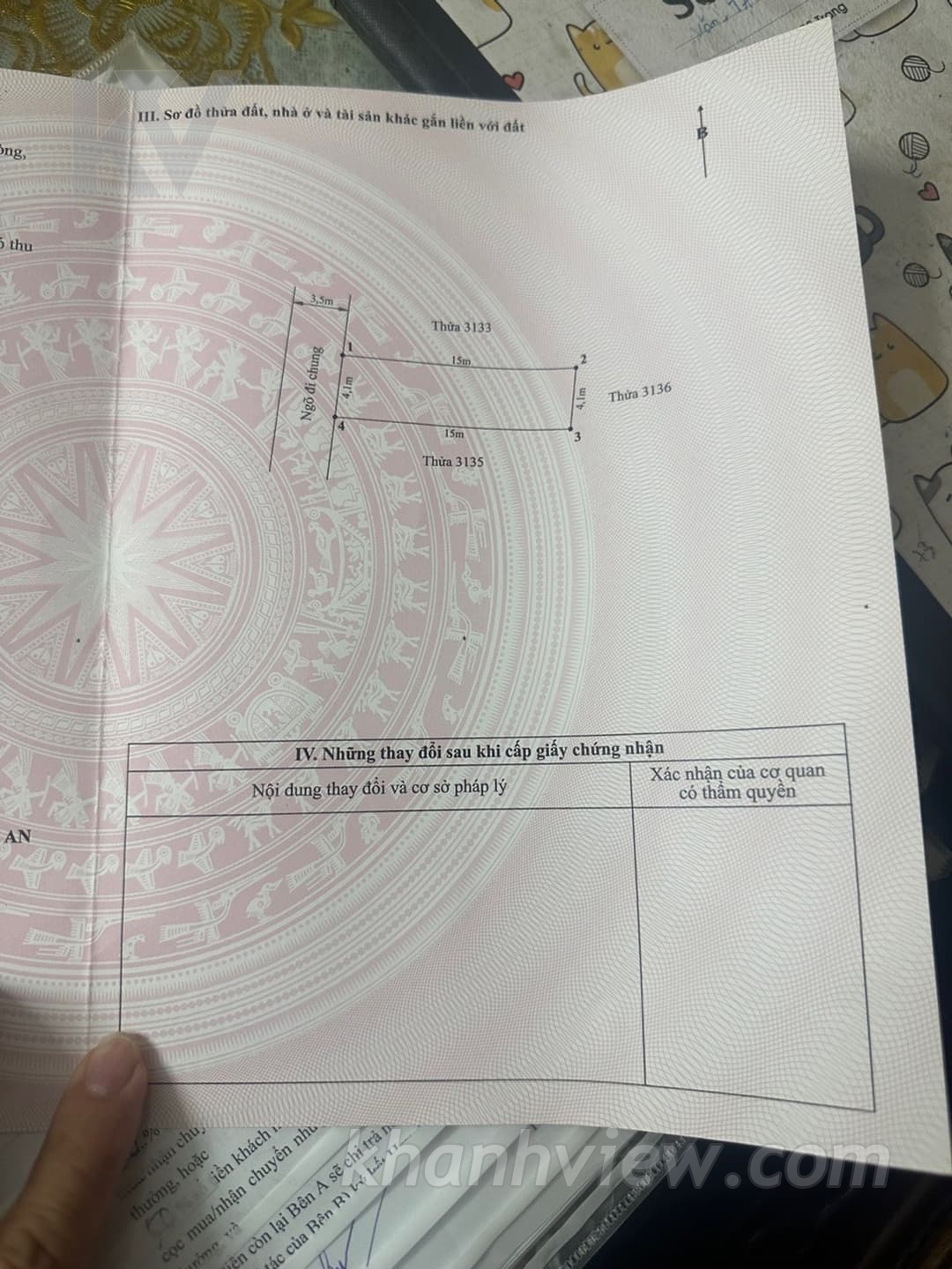 Ảnh thực tế Đằng Hải 15
