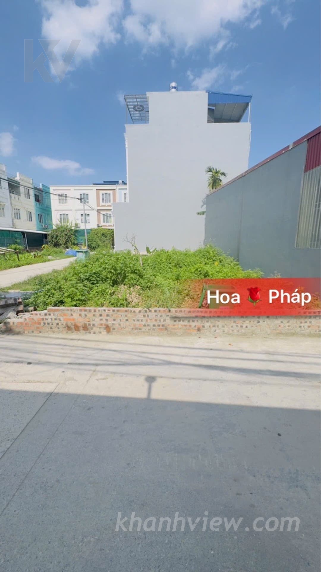 Ảnh thực tế Đằng Hải 2