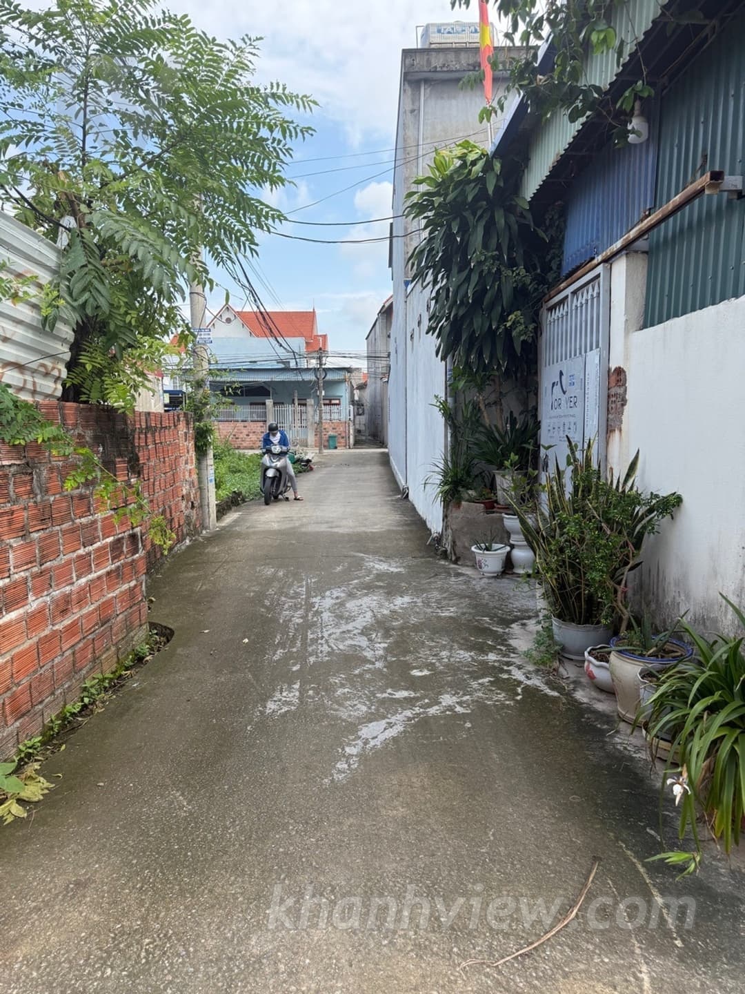 Ảnh thực tế đất Thủy Đường 2