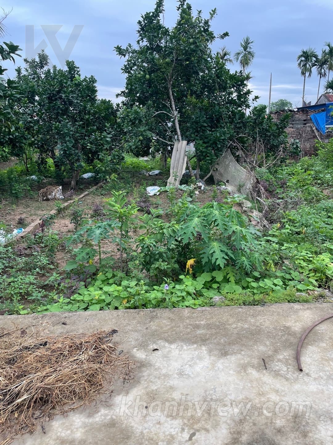 Thực tế lô đất Hầu Hoàng Lâm 1