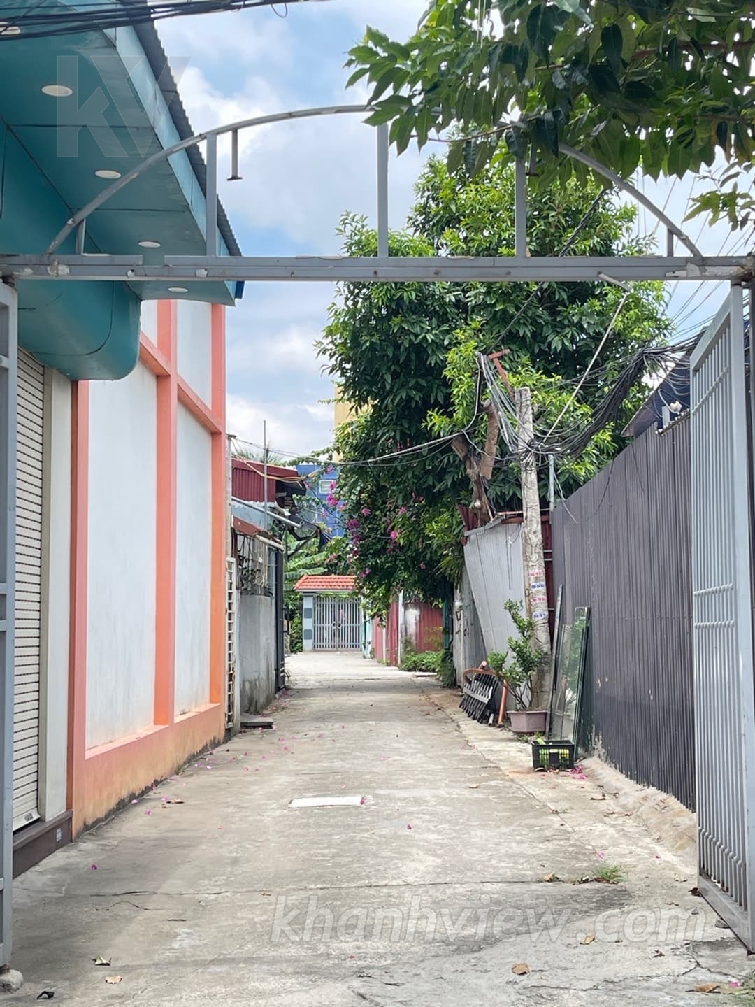 Ảnh thực tế Khúc Hạo 10