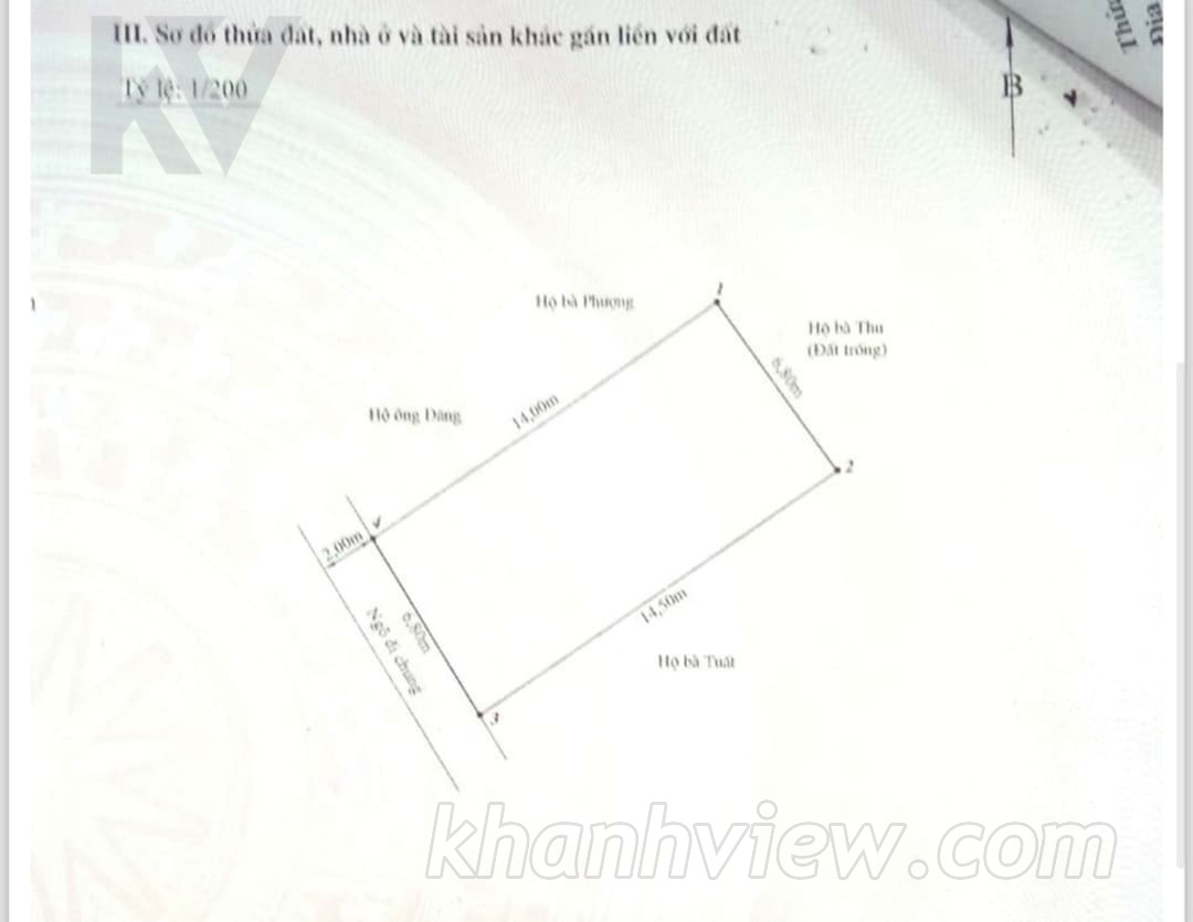 Ảnh thực tế Khúc Hạo 12