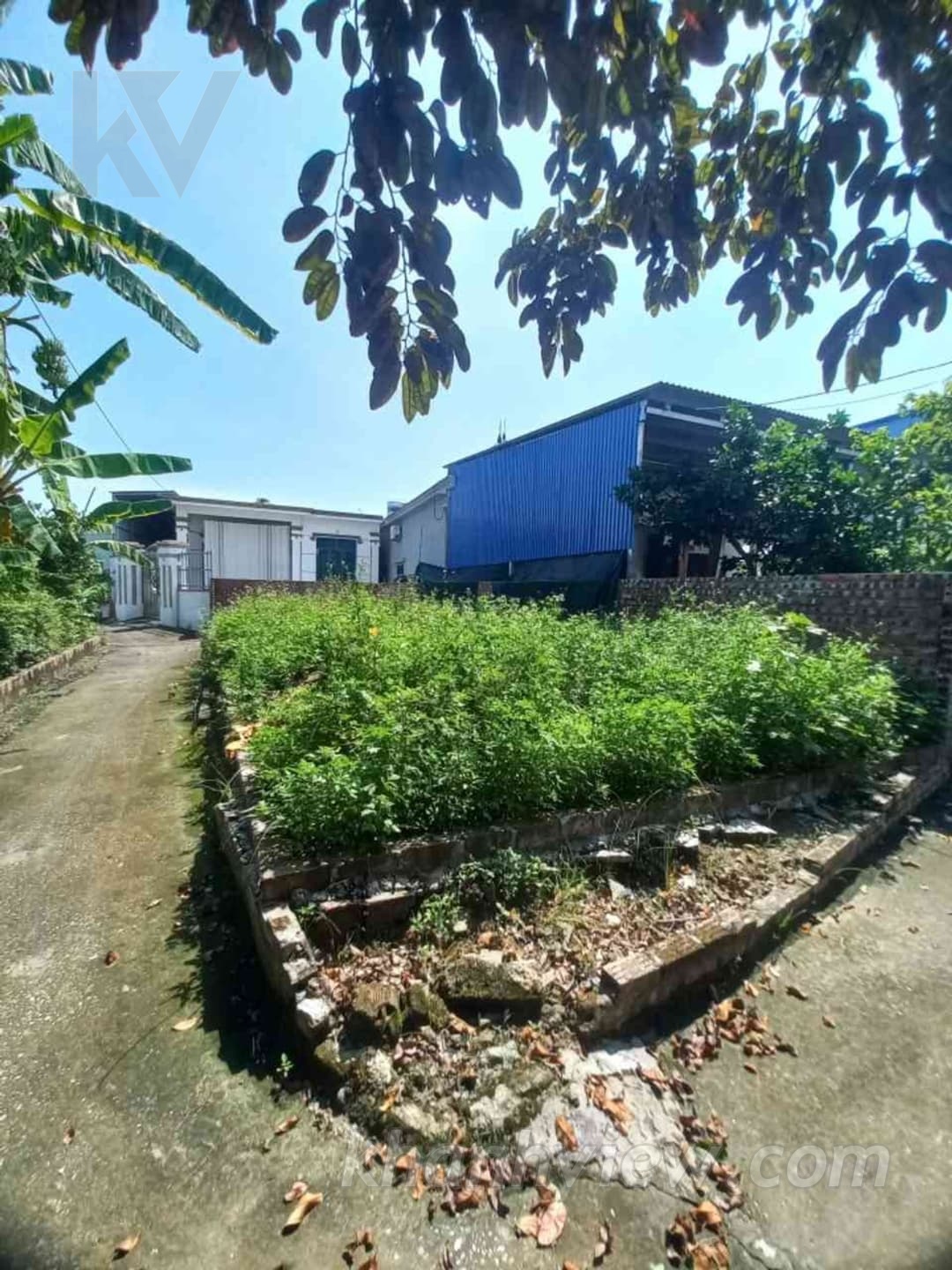 Đất Hoàng Động Thủy Nguyên