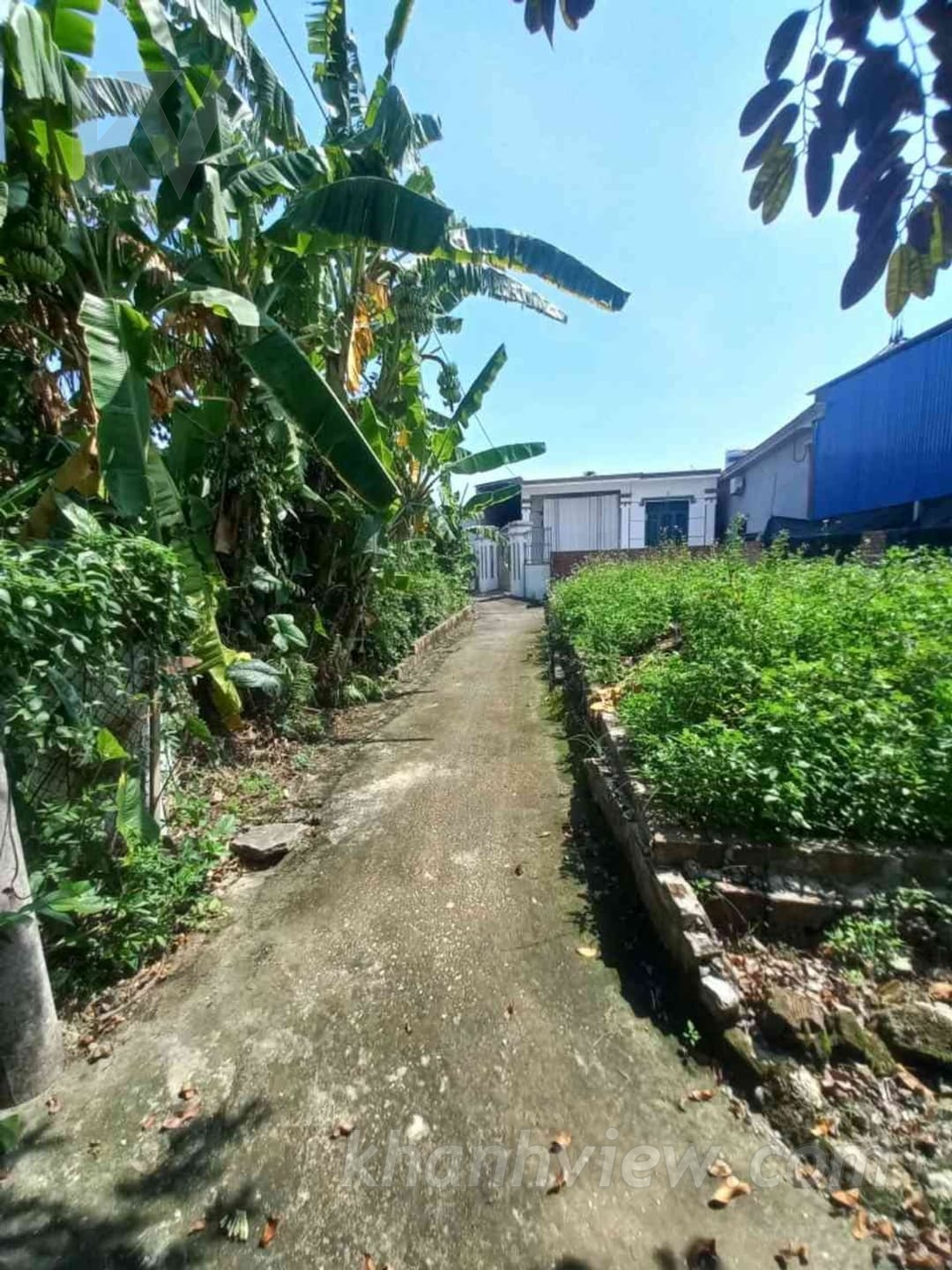 Ảnh 3