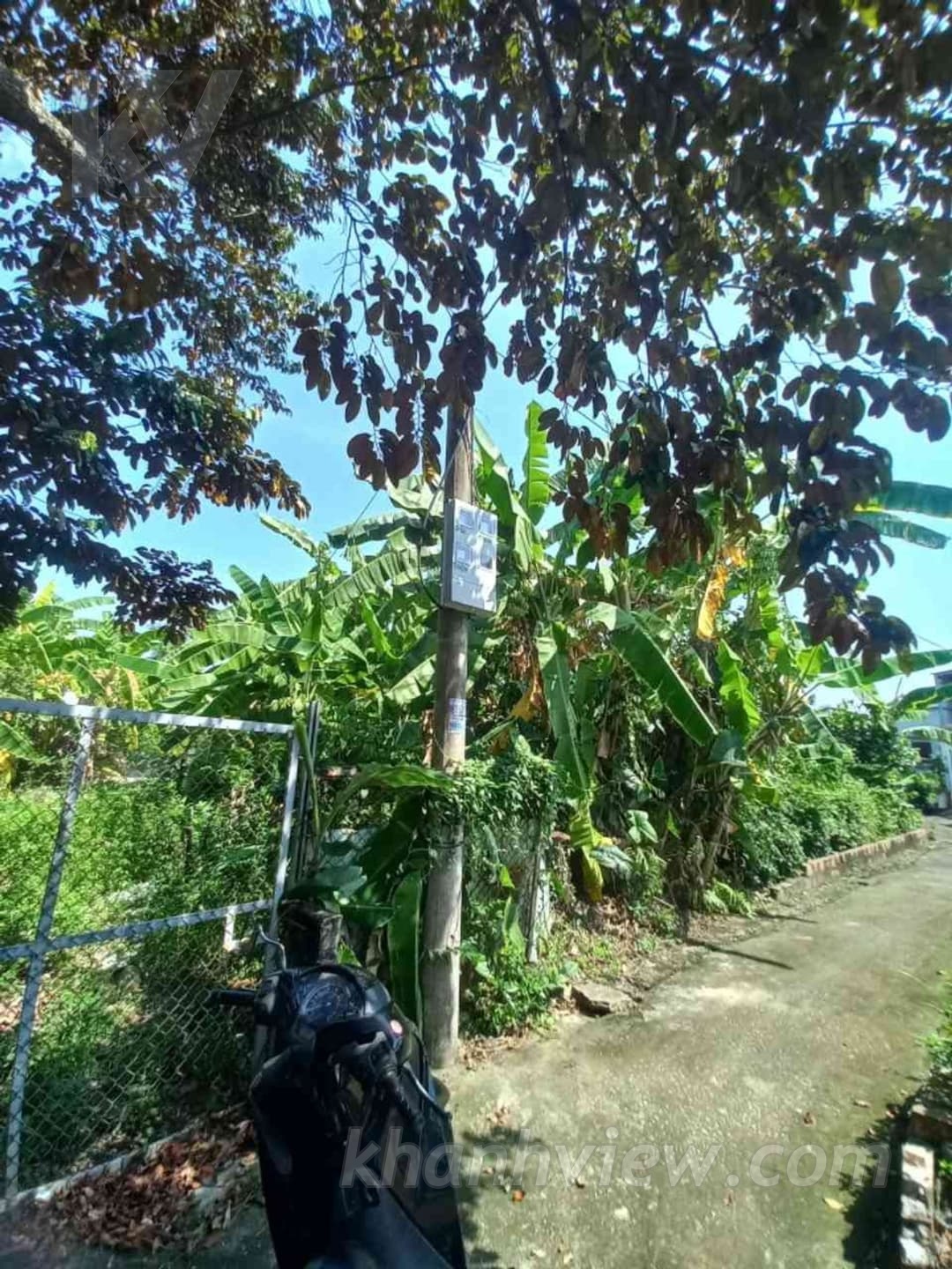 Ảnh 6
