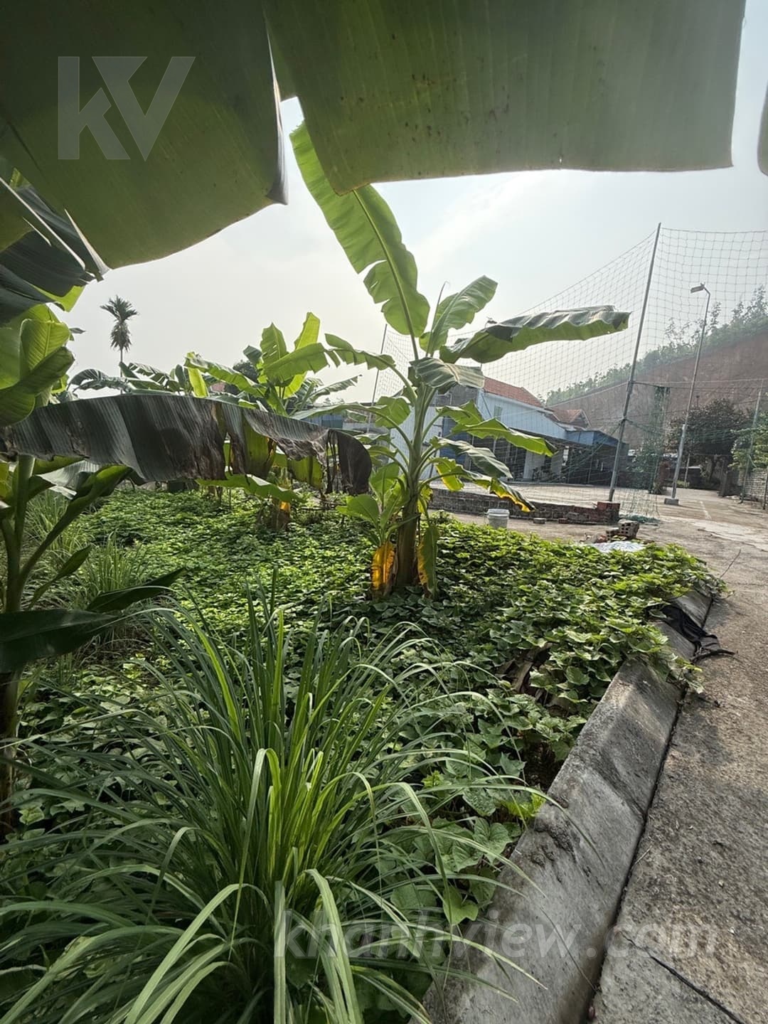 Ảnh thực tế TKDNP5HA 7