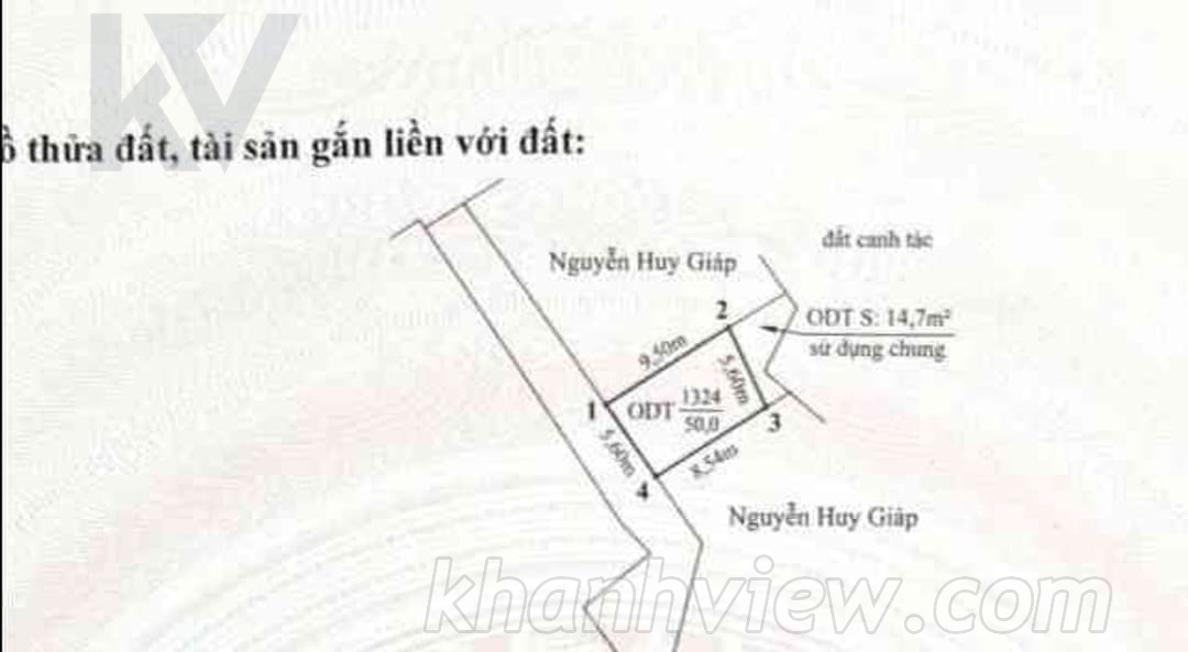 Ảnh thực tế 7
