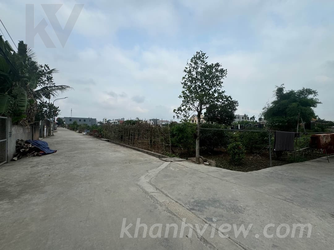 Chi tiết 13