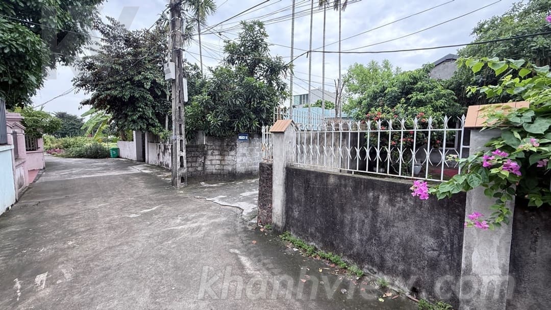 Ảnh thực tế 2