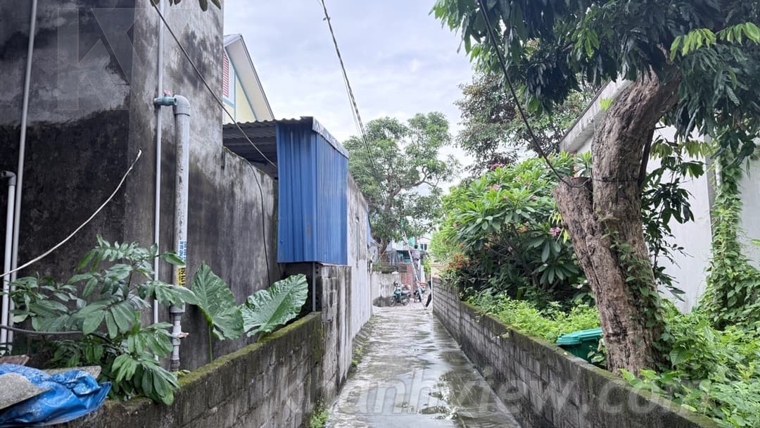 Ảnh thực tế 3