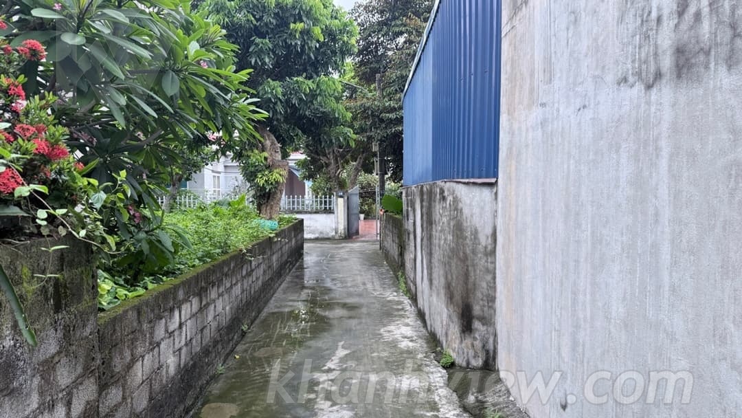 Ảnh thực tế 4