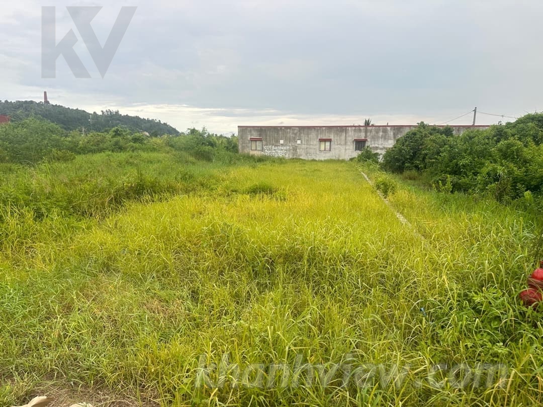 Thực tế đất Bàng La 7