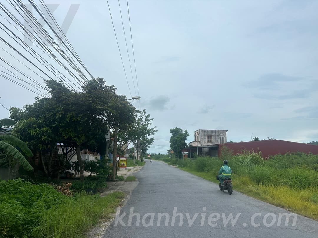 Thực tế đất Bàng La 8