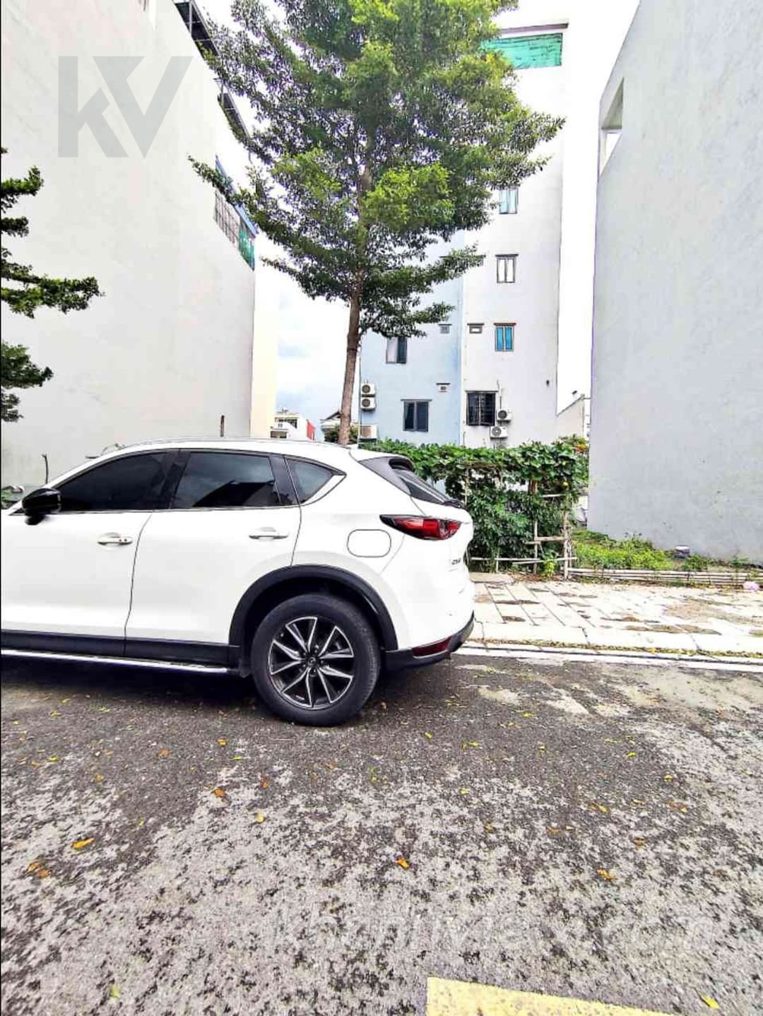 Đất TĐC Kho 3 Lạc Viên Lê Thánh Tông