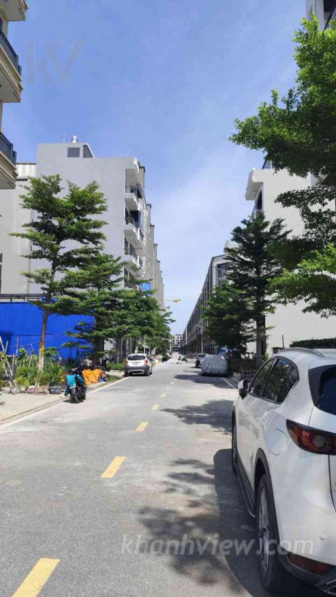 Ảnh thực tế 3