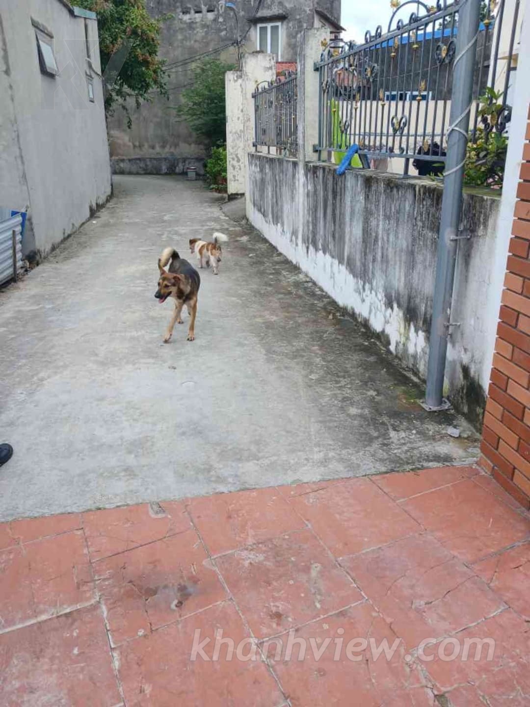 Đất Phúc Hải Dương Kinh 6