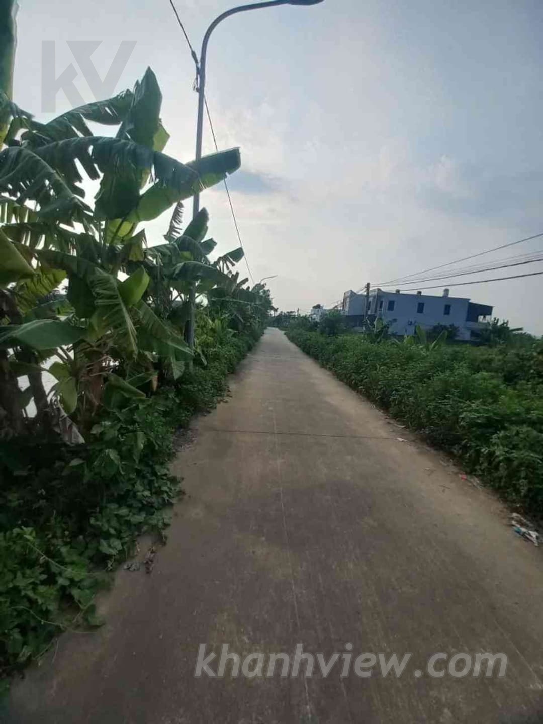 Đất An Thái An Lão 10