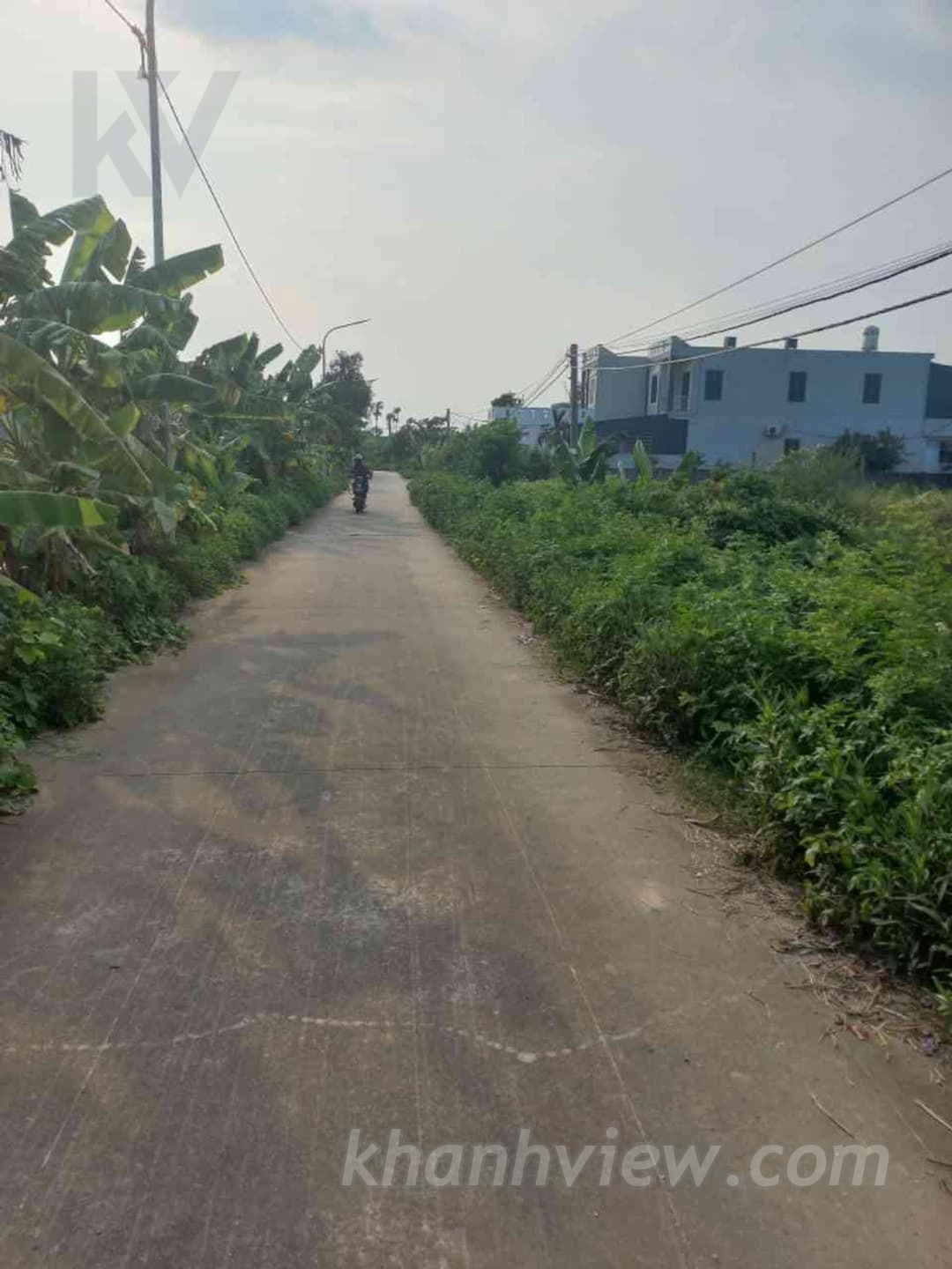 Đất An Thái An Lão 3