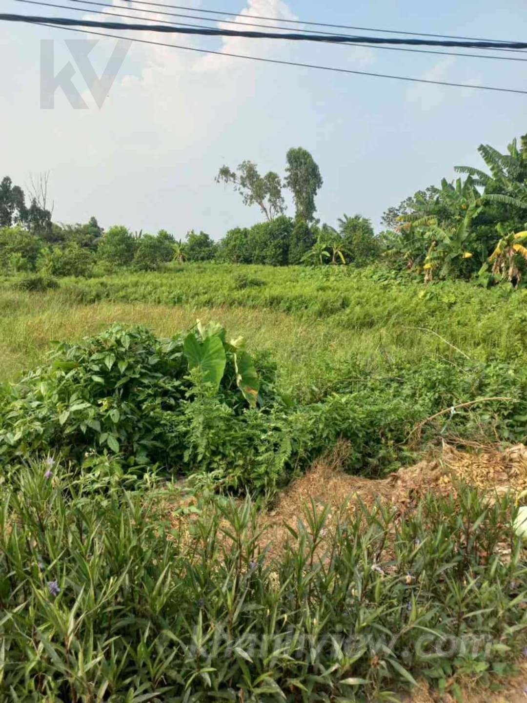Đất An Thái An Lão 4