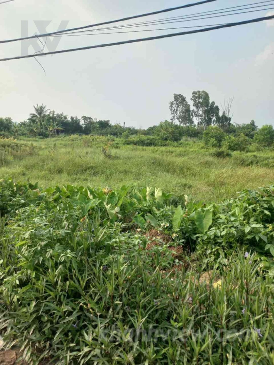 Đất An Thái An Lão 5