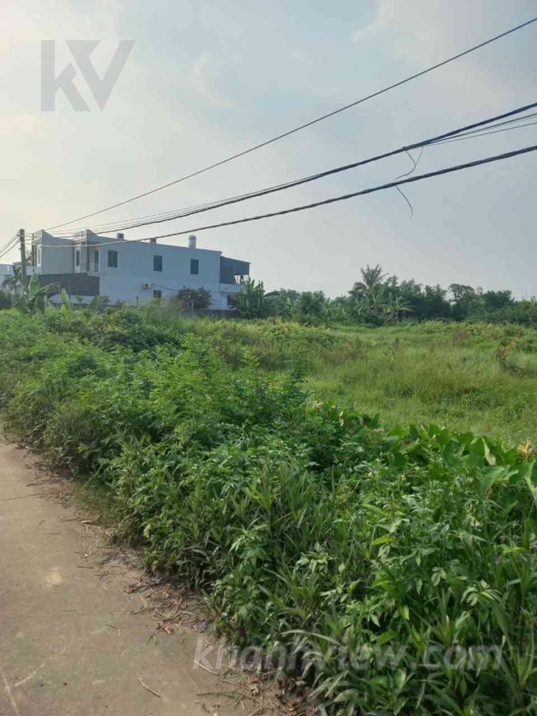 Đất An Thái An Lão 6
